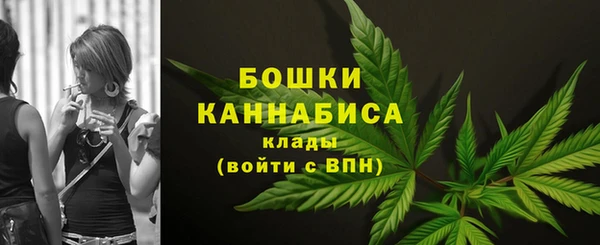 PSILOCYBIN Иннополис