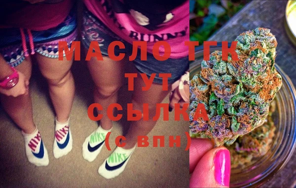 спайс Каменка