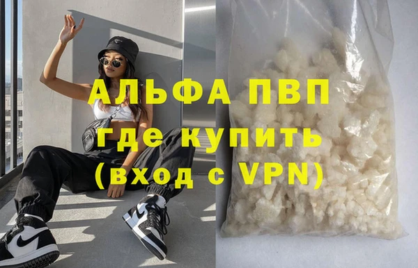спайс Каменка