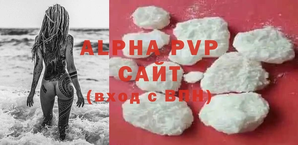 PSILOCYBIN Иннополис